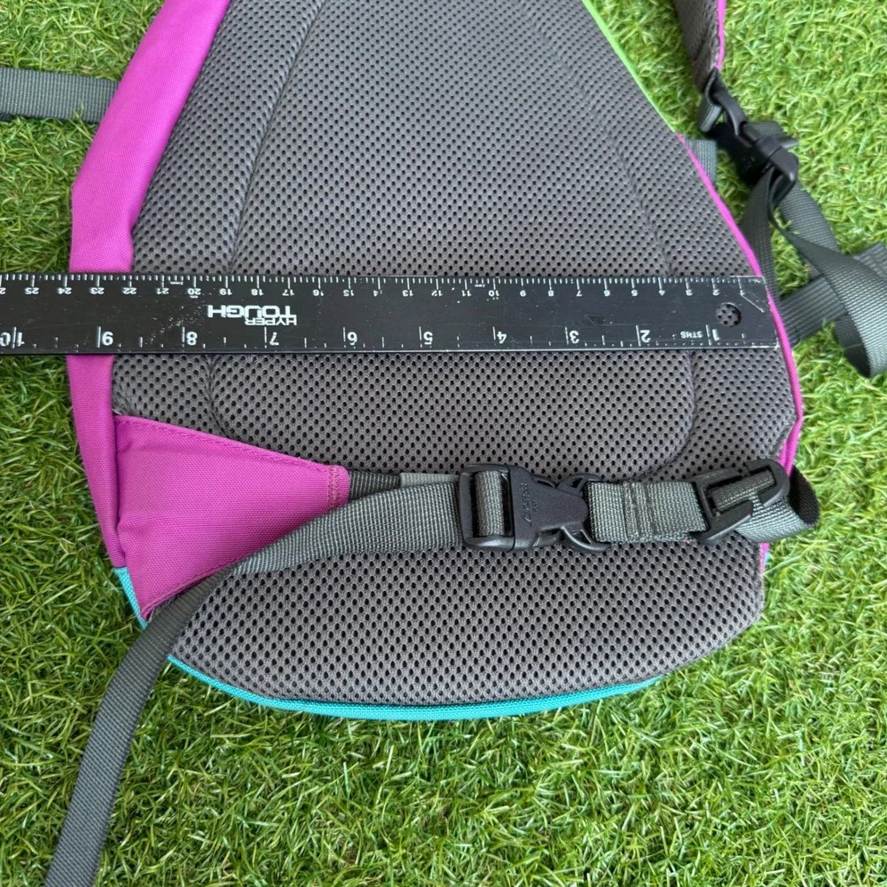 Vtg Patagonia Atom Sling 8L Backpack Bag Pink Teal Lime Colorblock Gorpcore